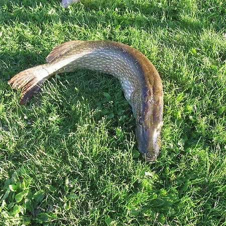 Trzy Jeziora 3* Wierzba